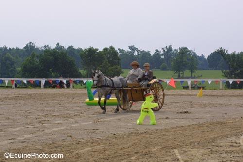 IMG_0460