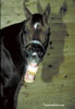 img0021 copy