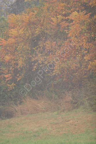 IMG_3366