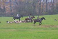 IMG_3301